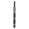 FORET BOIS DOUBLE LISTEL