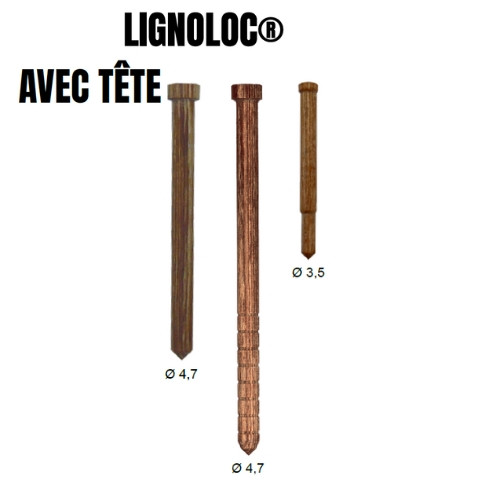 Pointes Lignoloc avec tête